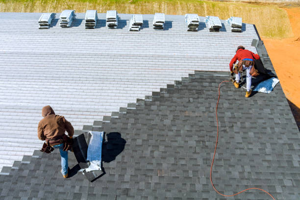 Best Metal Roofing Contractor  in Apex, NC