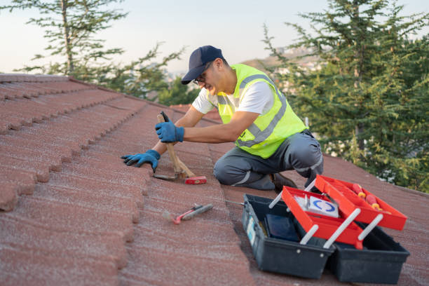Best Flat Roof Repair Services  in Apex, NC